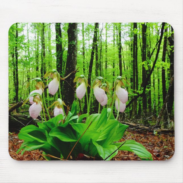 Pink Lady Slipper wild Orchid Mousepad (Vorne)