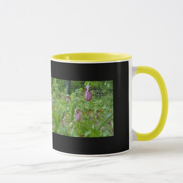Pink Lady Slippers - Wells Maine - Foto von Wendy Tasse (Rechts)