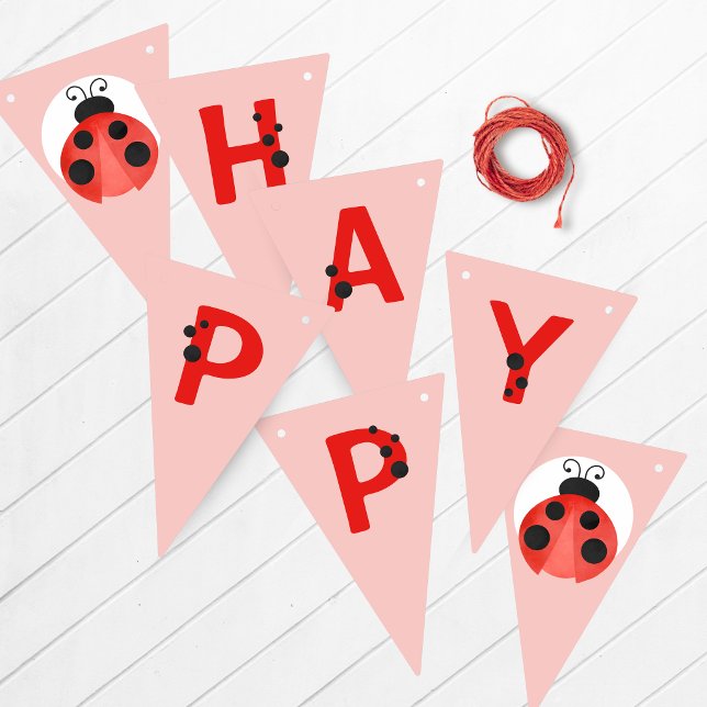 Pink Ladybug Happy Birthday Banner (Ladybug Happy Birthday Hanging Banner in Red, Black, White and Salmon Pink)