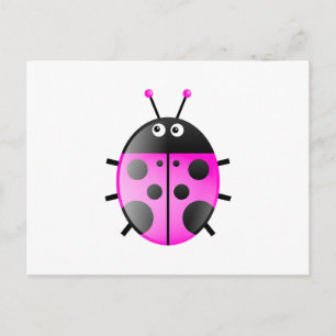 Pink Ladybug Postkarte
