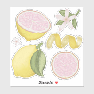 Pink Lemonade Zitronen Blumen Zitrus Aufkleberboge Aufkleber