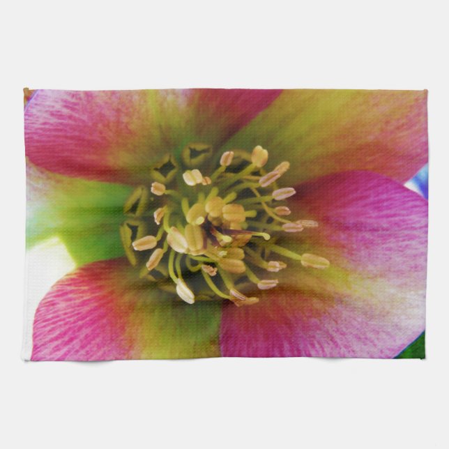 Pink Lenten Rose, Geschirrtuch (Horizontal)