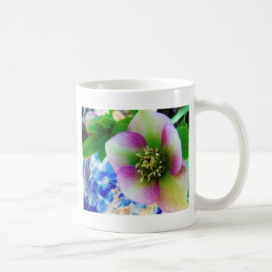Pink Lenten Rose Kaffeetasse
