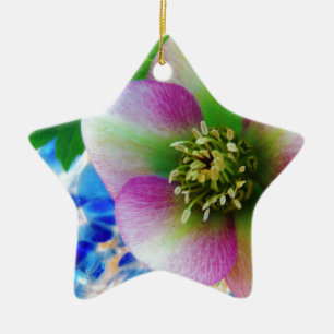 Pink Lenten Rose Keramikornament