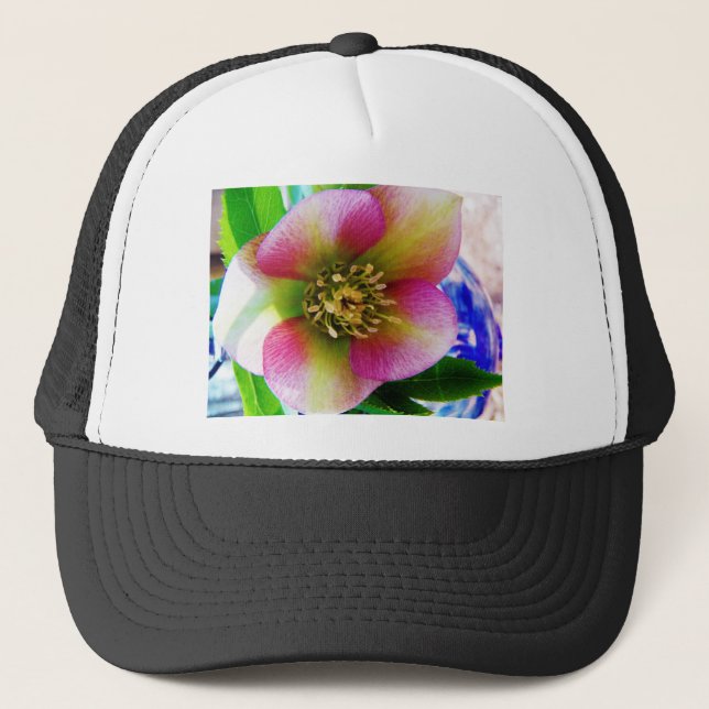 Pink Lenten Rose, Truckerkappe (Vorderseite)