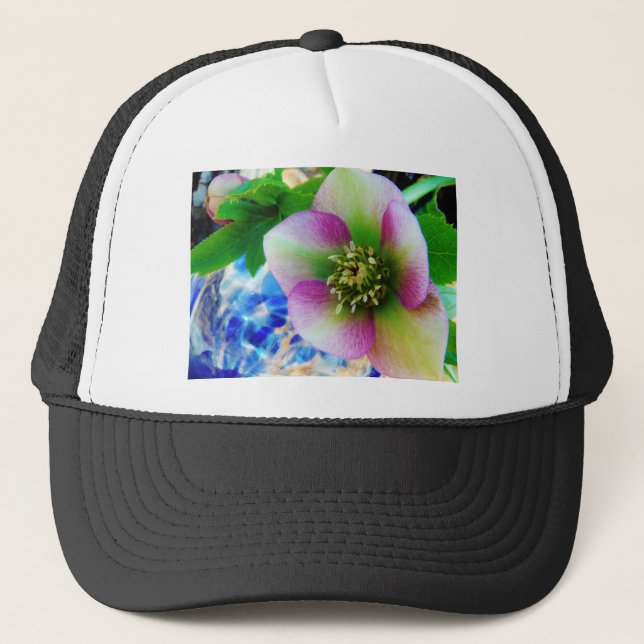 Pink Lenten Rose Truckerkappe (Vorderseite)