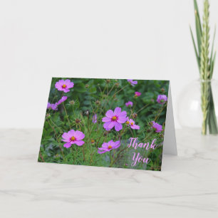 Pink Lila Cosmos Blume Danke Nachricht