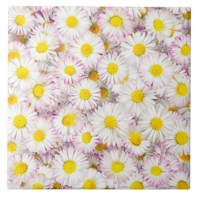 Pink Lila Daisy Blume Pattern Fliese (Vorderseite)