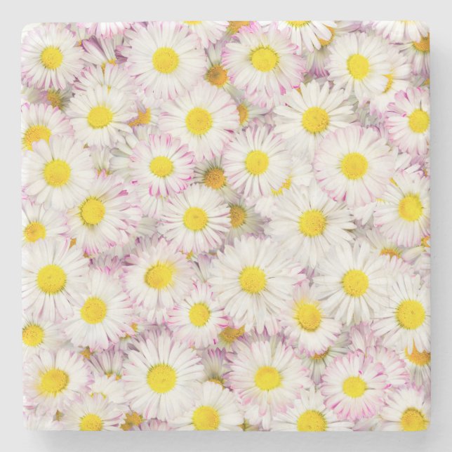 Pink Lila Daisy Blume Pattern Steinuntersetzer (Vorderseite)