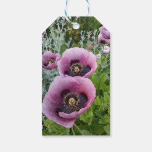 Pink Lila Poppies Mauve Lila Blume Geschenkanhänger