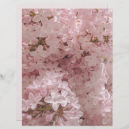 Pink lilac bloom close-up scrapbook paper