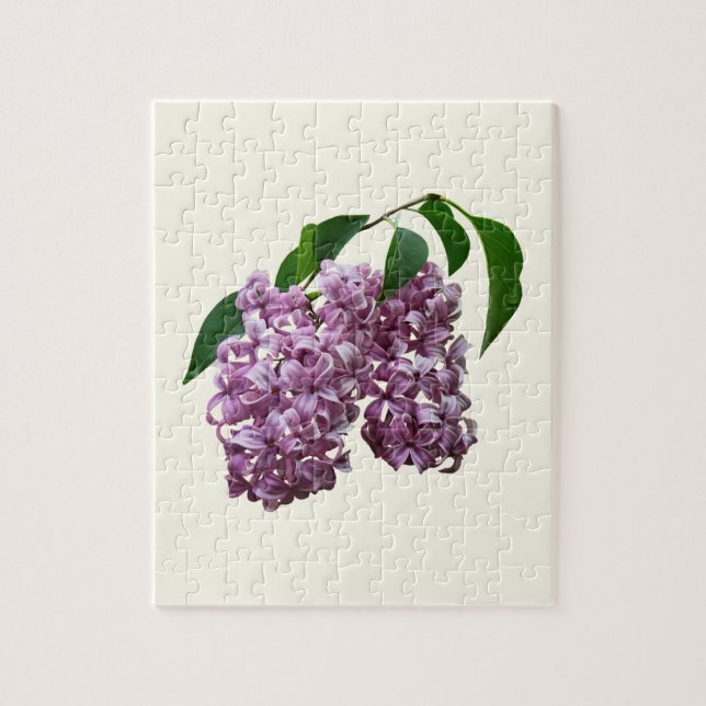 Pink Lilac Duo (Vertikal)