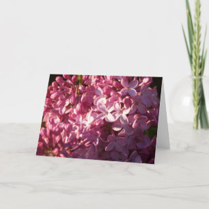 Pink Lilacs Grußkarte Karte