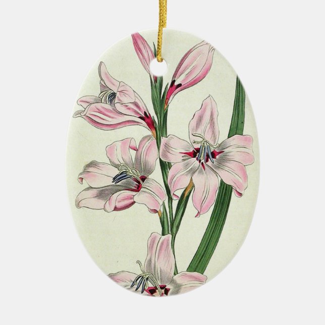 Pink Lilies - Ornament (Vorne)