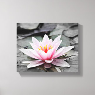 Pink Lily Blume mit schwarzem Hintergrund Leinwanddruck