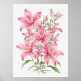 Pink Lily Blume Poster