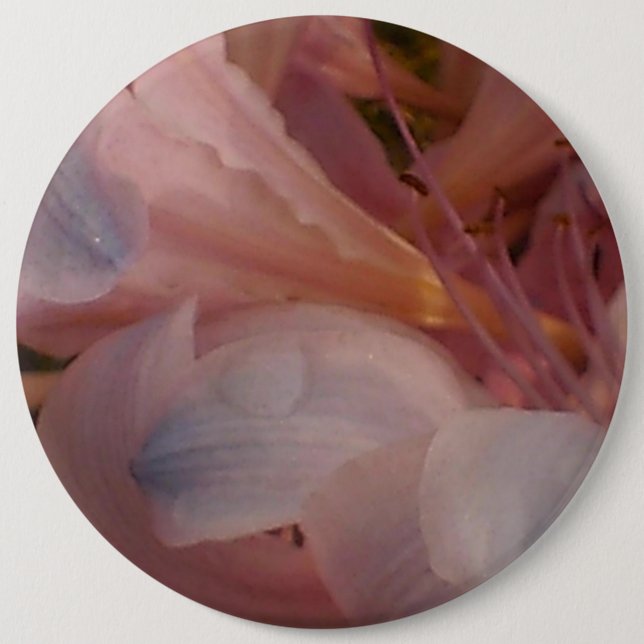 Pink Lily Button (Vorderseite)