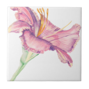 Pink Lily Oaster Blume Picture Tile Fliese
