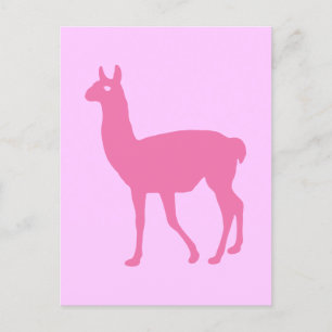 Pink Llama Postkarte