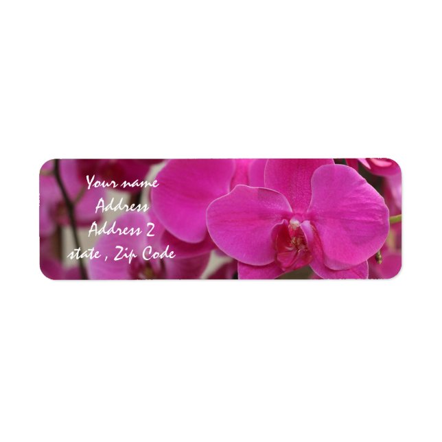 Pink Lotus Blossom addres labels (Vorne)