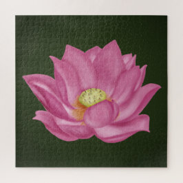 Pink Lotus Blossom Illustration