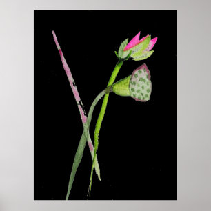 Pink Lotus Blume Zen Aquarellmalerei Poster