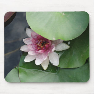 Pink Lotus flwower Mousepad