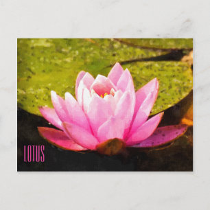 Pink Lotus Horizontale Postkarte