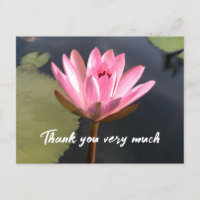 Pink lotus in den Teich danke Ihnen Karte