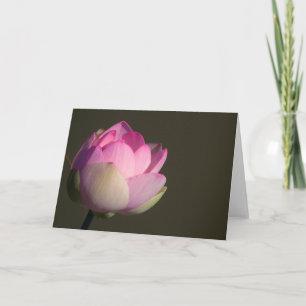 Pink Lotus Karte