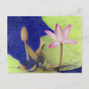 Pink Lotus Wasserlilie Postkarte
