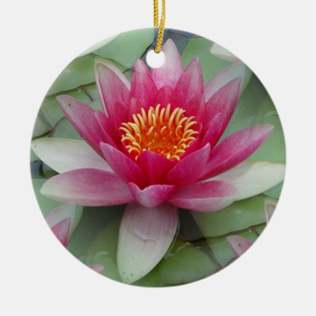 Pink Lotus Water Lily Keramik Ornament (Vorne)