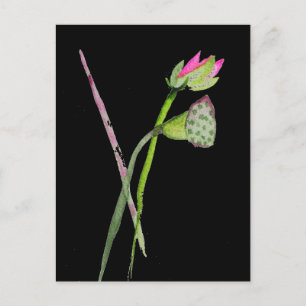 Pink Lotus Zen Blume Buddhistische Kunst Postkarte