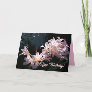 Pink Lys, Joyeux Anniversaire ! Carte de voeux Flo