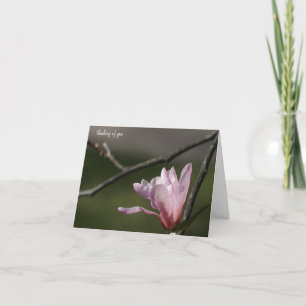 Pink Magnolia Bloom Sympathie Karte