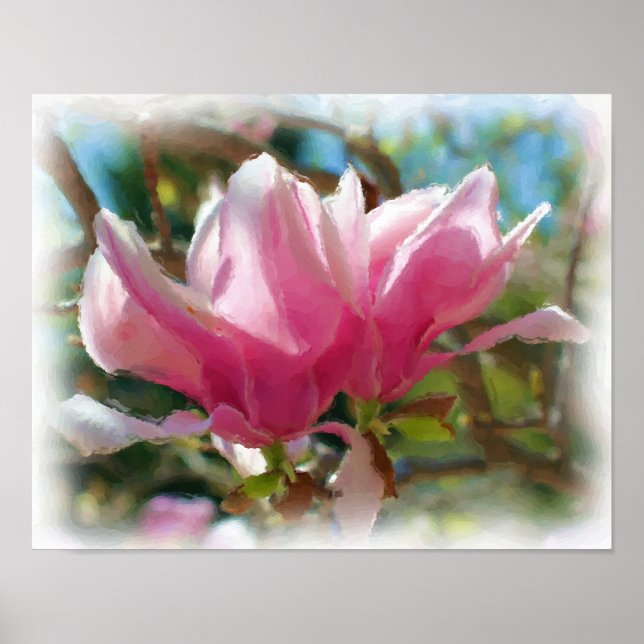 Pink Magnolia Blossoms Flower Art Photo Painting Poster (Vorne)