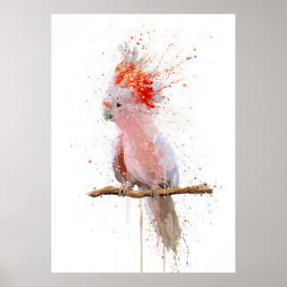 Pink Majesty Poster