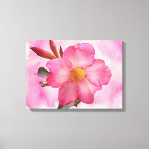 Pink Mandevilla Vine Leinwanddruck