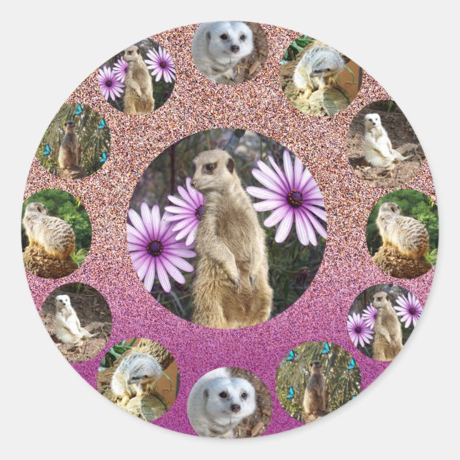 Pink Meerkat Überraschung, Aufkleber (Vorderseite)