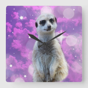 Pink Meerkat With Sparkle, Quadratische Wanduhr
