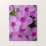 Pink Melodies<br><div class="desc">Captured a radiant moment of pink flowers blooming with fresh morning dew. The soft colors and vitality of nature will bring a bright and cheerful energy to any space.</div>