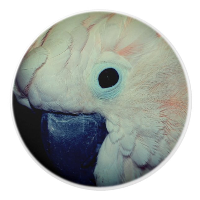 Pink Moluccan Cockatositu Papagei Nah  Keramikknauf (Vorderseite)