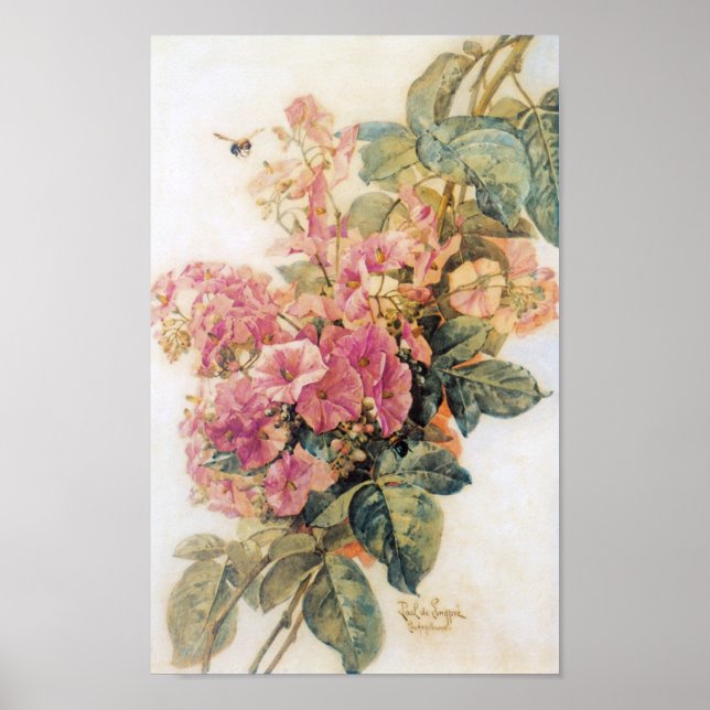 Pink Morning Glories Vintage Poster (Vorne)