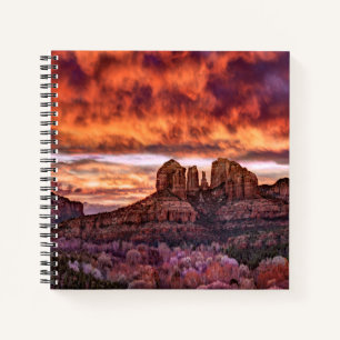 Pink Morning Glory Notizbuch