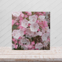 Pink Mountain Laurel Keramik Tile