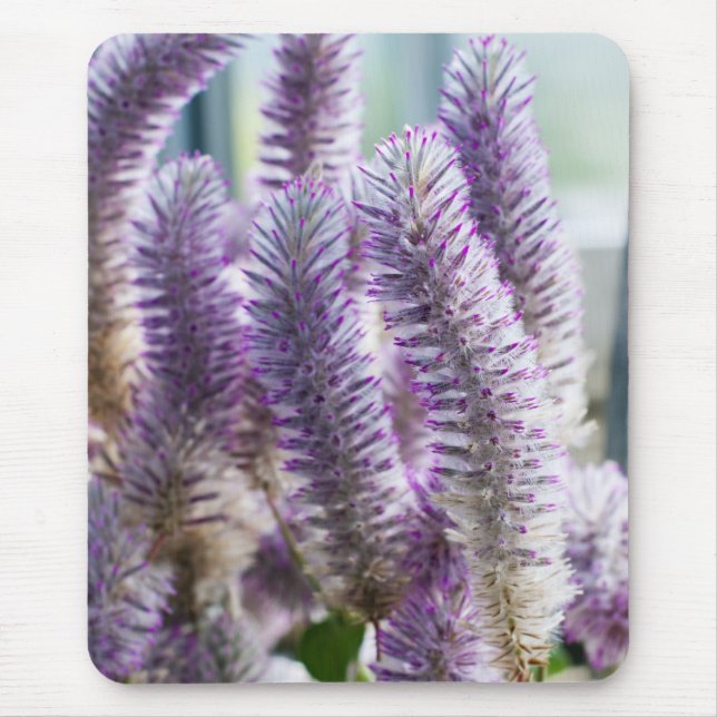 Pink Mulla Mulla Mousepad (Vorne)