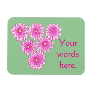 Pink Mums Blume Chrysanthemums Magnete