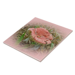 Pink Mushroom - Rechts gegenüber Fliese