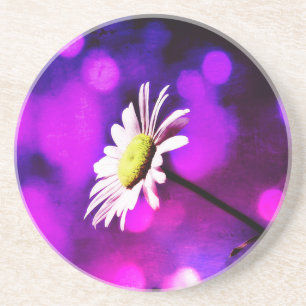 Pink N Amethyst Daisy Sandstein Untersetzer