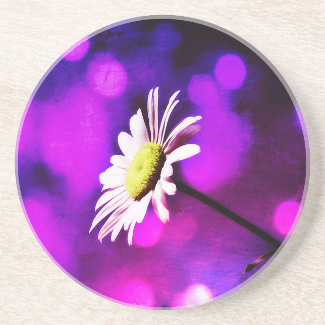 Pink N Amethyst Daisy Sandstein Untersetzer (Vorne)